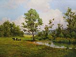 Belted Galloways