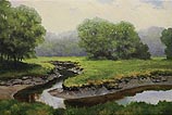 Misty Marsh