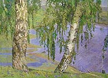 Birches Over the River