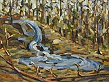Woodland Stream