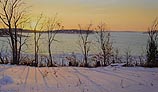 A Winter