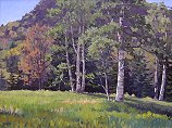 Birches, Acadia