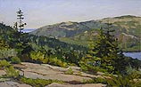 Granite and Spruce