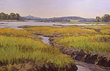 Salt Marsh (Wiscasset)