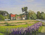 Thomaston Lupine