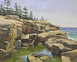 Tide Pool, Schoodic