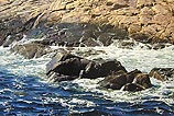 Turning Tide