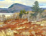 Blueberry Field