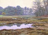 Salt Marsh