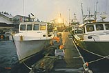 In for the Evening, Webb Cove, Stonginton
