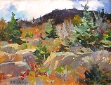 Cloud Shadows, Acadia