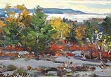 Blueberry Barrens