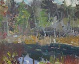 Wetlands, Acadia