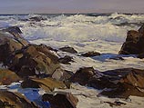Blackshore Fury