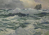 Wild Sea