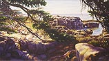Schoodic Summer