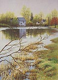 Village Dam