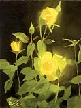 Roses in the Sun