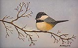 My Little Chickadee