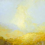 A Wondrous Light