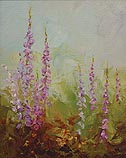 Lupine Time