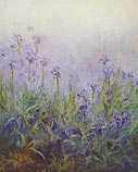 Iris Mist