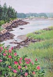 Rugosa Overlook