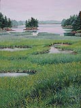 Morning Marsh