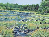Secret Pond