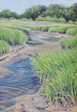 Grassy Creek