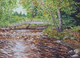 Salmon Brook Autumn