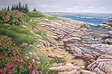 Rugosa Shoreline