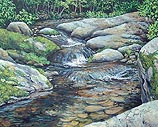 Summer Pools