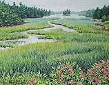 Meandering Waters