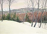 Okemo Vista