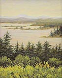 Eagle Island Vista