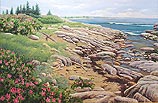 Rugosa Shore Line