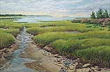 Morning at the Mussel Flats