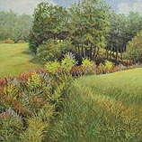 September Meadows