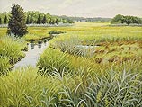 Marsh Mosaic