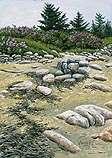 Rocky Beach
