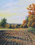 Afternoon Autumn Light
