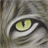 Canada Lynx 11.6.06