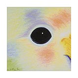 Lovebird, 3.22.03