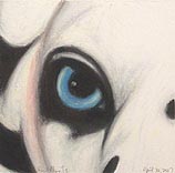 Dalmation II  4.30.07