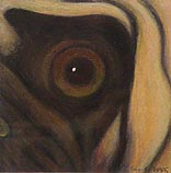 Pug  12.8.05