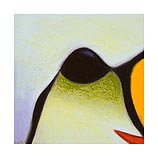 King Eider 7.24.00