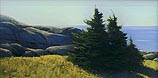 Christmas Cove
