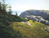Gull Rock