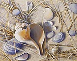Loretta Krupinski